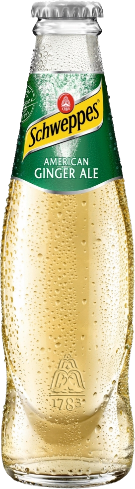 Schweppes Ginger Ale 24x0,2 lt MW-Fl.