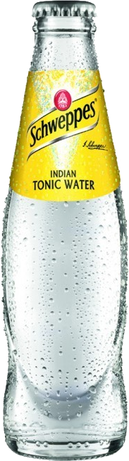 Schweppes Tonic Water 24x0,2 lt MW-Fl.